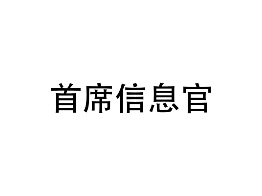 首席信息官（公司管理层职位）