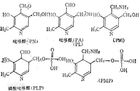 维生素B6