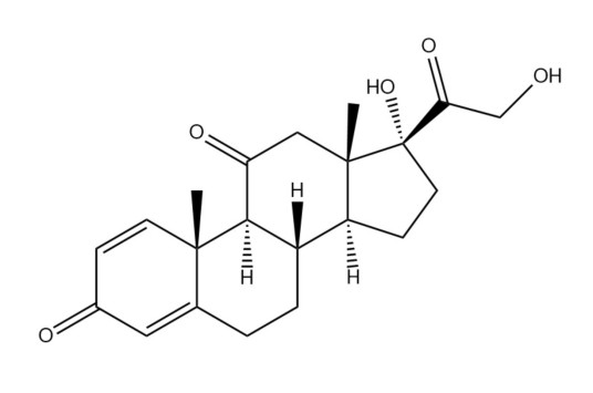 泼尼松