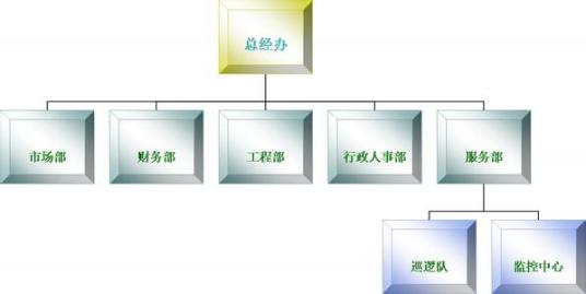 有限责任公司