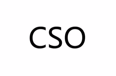 CSO（首席问题官）