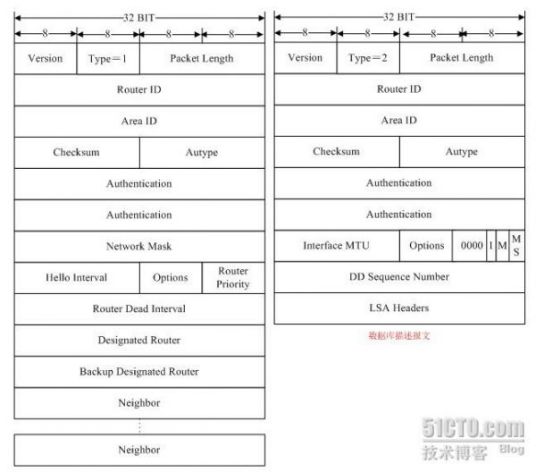 OSPF路由协议