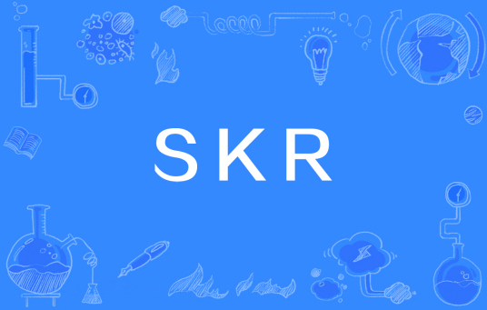 SKR（网络用语）