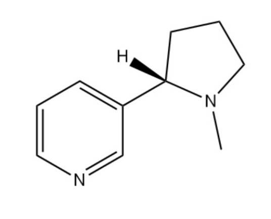 尼古丁（一种存在于茄科植物（茄属）中的生物碱）