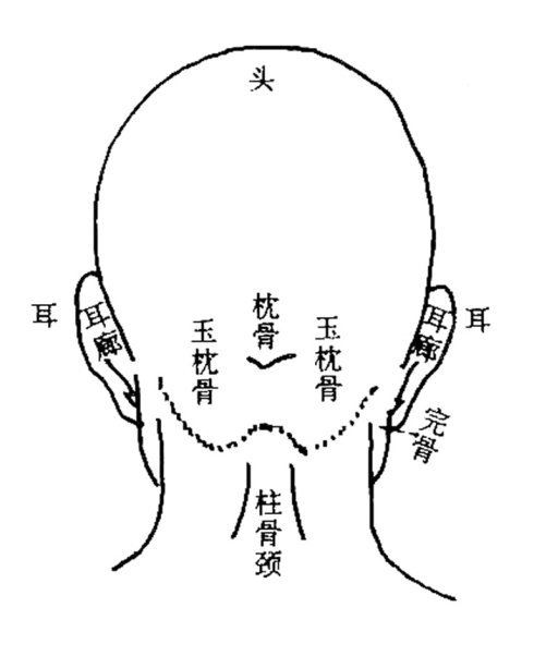 反骨（基础含义）