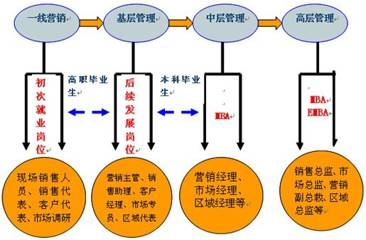 市场总监（企业中负责市场运营工作的高级管理人员）