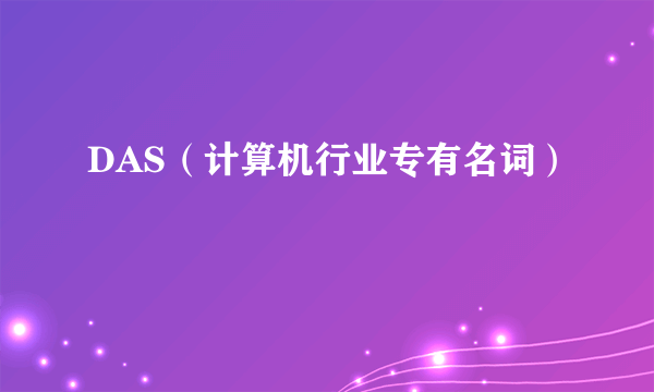 DAS（计算机行业专有名词）