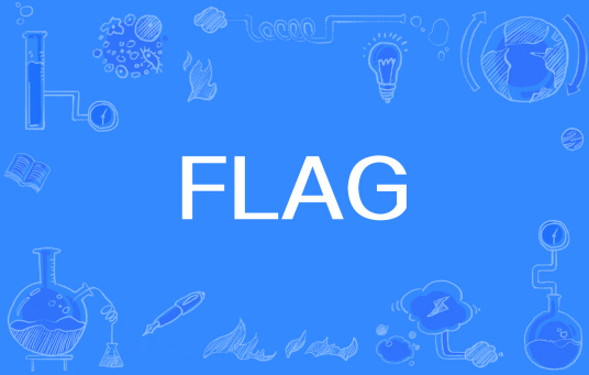 FLAG（网络流行词）