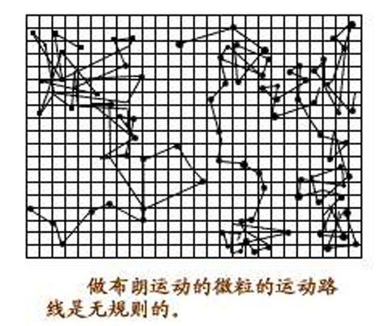 布朗运动（微小粒子表现出的无规则运动）