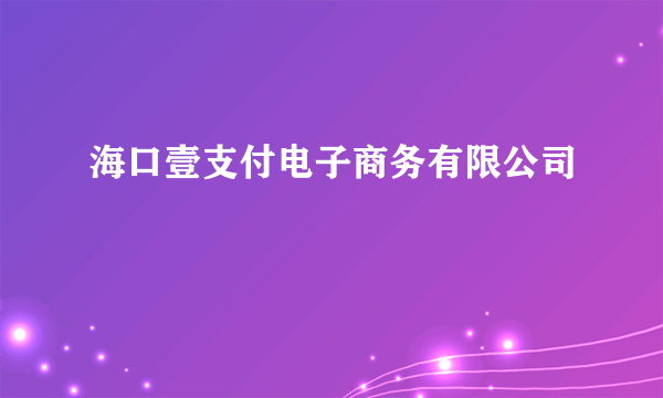 海口壹支付电子商务有限公司