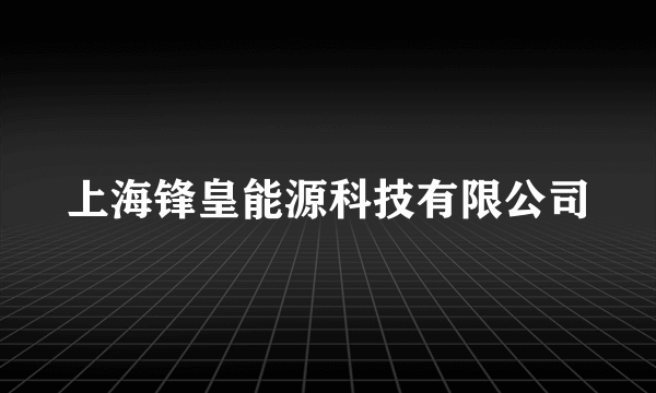 上海锋皇能源科技有限公司