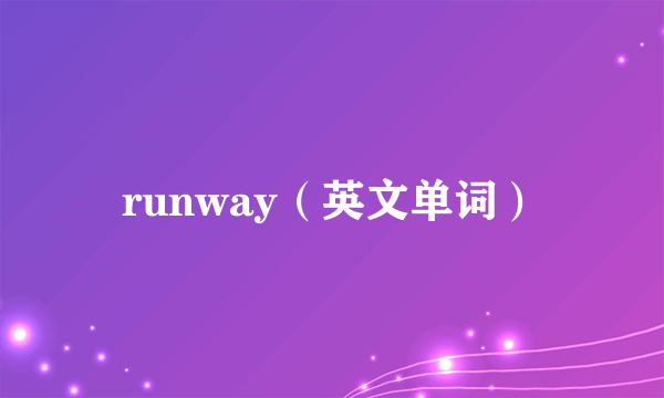 runway（英文单词）