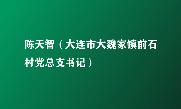 陈天智（大连市大魏家镇前石村党总支书记）