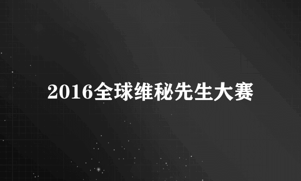 2016全球维秘先生大赛