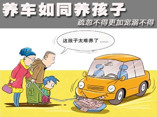 养车