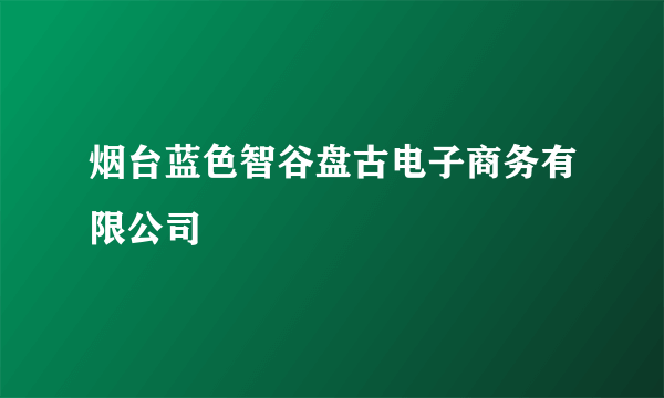 烟台蓝色智谷盘古电子商务有限公司