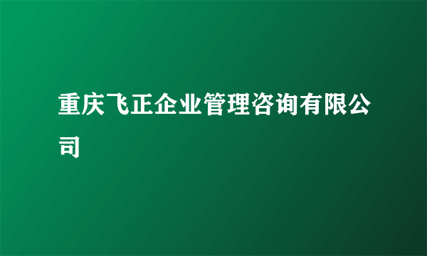 重庆飞正企业管理咨询有限公司