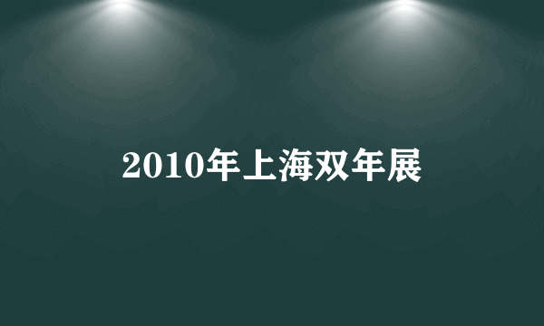 2010年上海双年展