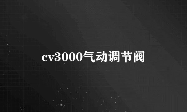 cv3000气动调节阀