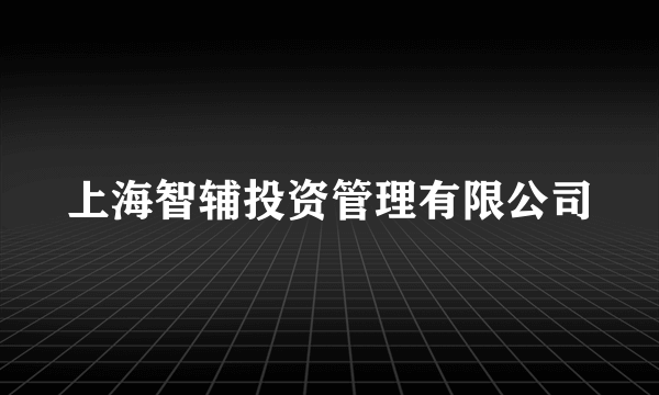 上海智辅投资管理有限公司