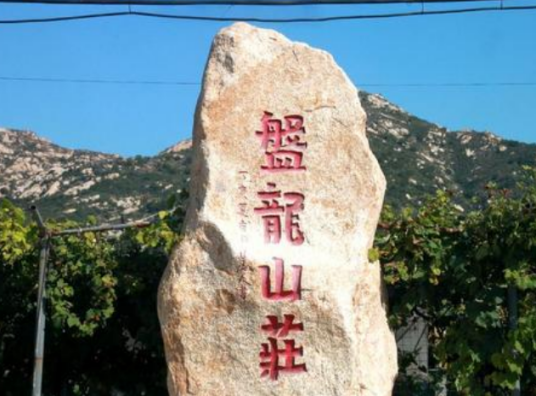 盘龙山庄（山东省平度市大泽山镇下辖村）