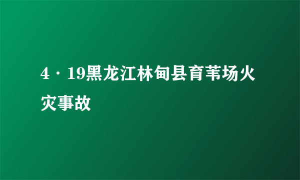 4·19黑龙江林甸县育苇场火灾事故