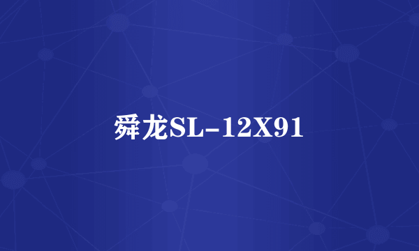 舜龙SL-12X91