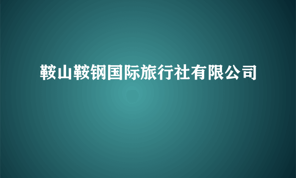 鞍山鞍钢国际旅行社有限公司