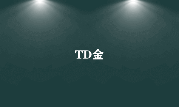 TD金