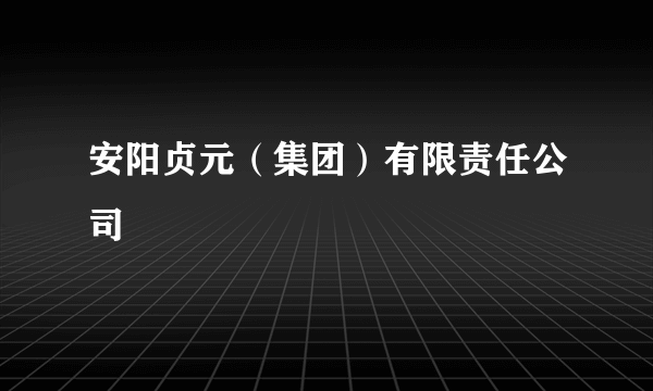 安阳贞元（集团）有限责任公司