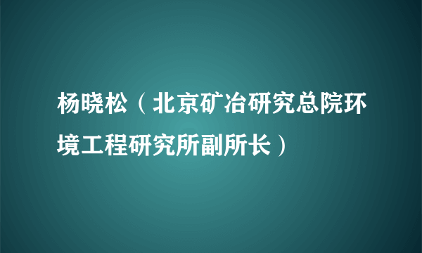 杨晓松（北京矿冶研究总院环境工程研究所副所长）