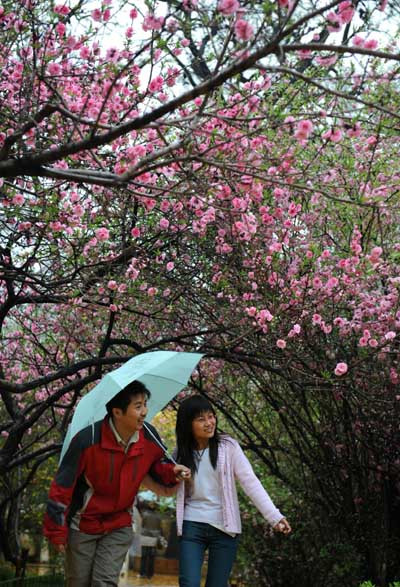 春雨绵绵