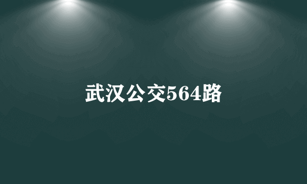 武汉公交564路