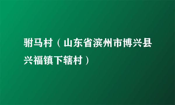 驸马村（山东省滨州市博兴县兴福镇下辖村）