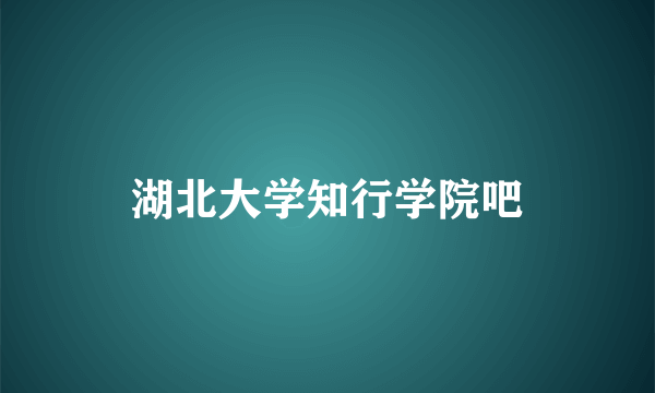 湖北大学知行学院吧