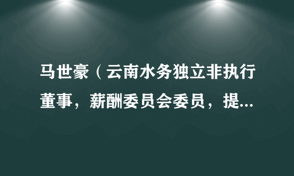 马世豪（云南水务独立非执行董事，薪酬委员会委员，提名委员会委员，审核委员会委员，合规委员会委员）