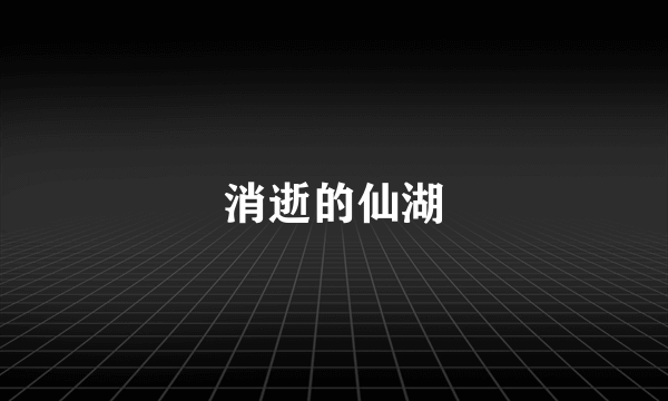 消逝的仙湖