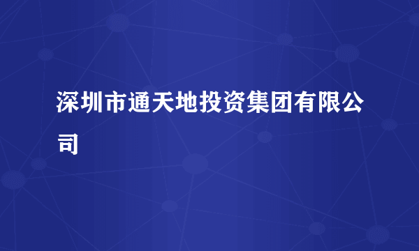 深圳市通天地投资集团有限公司