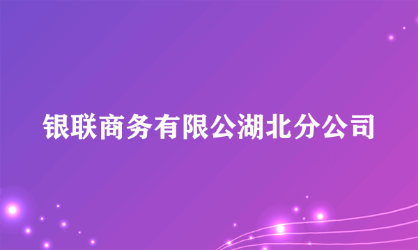 银联商务有限公湖北分公司