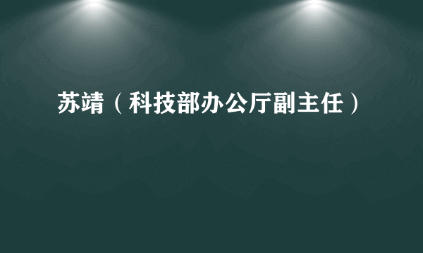 苏靖（科技部办公厅副主任）