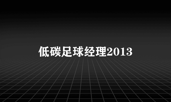 低碳足球经理2013