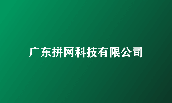 广东拼网科技有限公司