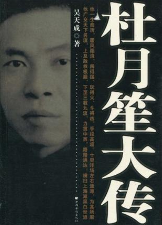 杜月笙大传（2010年中国华侨出版社出版的图书）