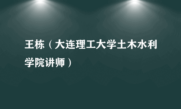 王栋（大连理工大学土木水利学院讲师）