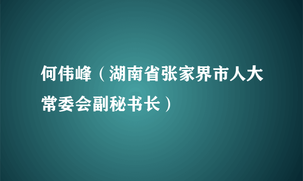 何伟峰（湖南省张家界市人大常委会副秘书长）