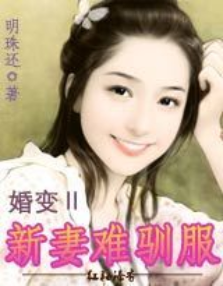 婚变Ⅱ：新妻难驯服