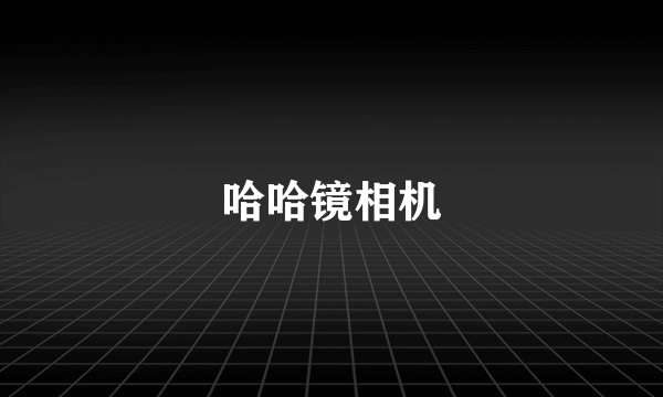 哈哈镜相机