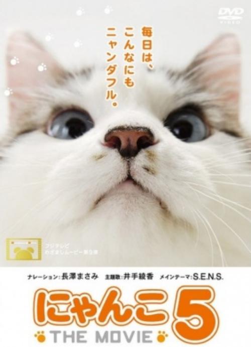 猫咪物语5