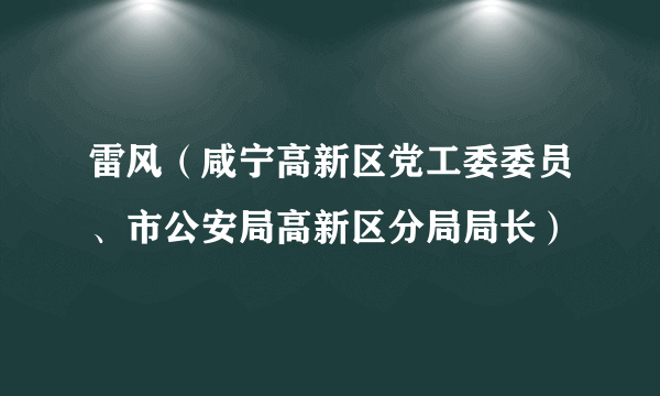 雷风（咸宁高新区党工委委员、市公安局高新区分局局长）