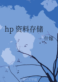 hp 资料存储